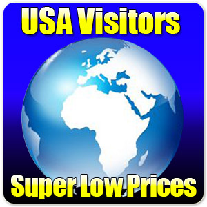 Global Visitors - Super low prices!